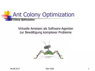 ant colony optimization