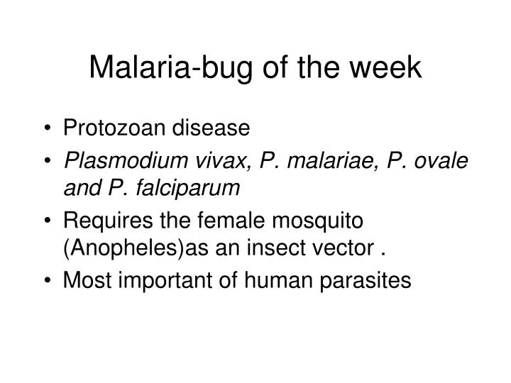 malaria bug of the week