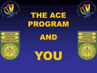 THE ACE PROGRAM AND YOU