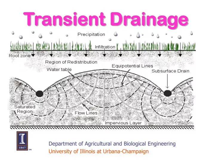 transient drainage