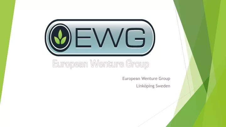 european wenture group link ping sweden