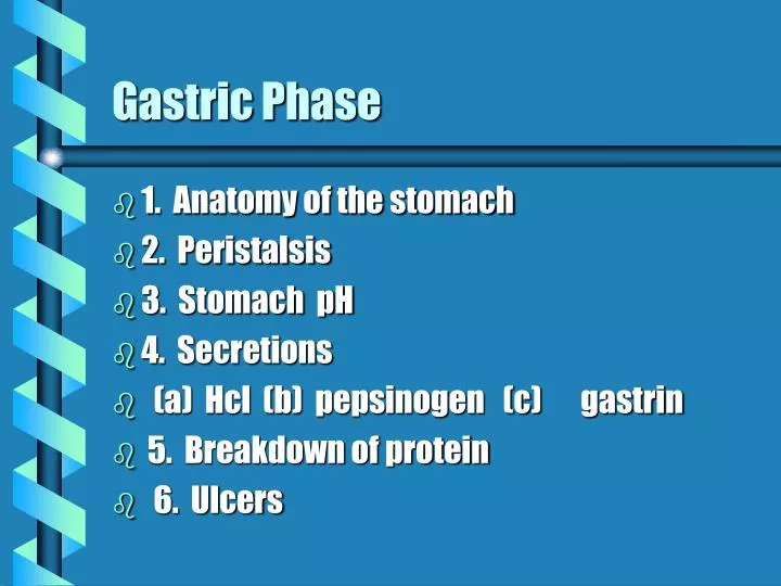 gastric phase
