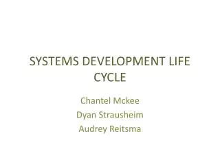 SYSTEMS DEVELOPMENT LIFE CYCLE