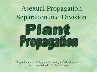 Asexual Propagation Separation and Division