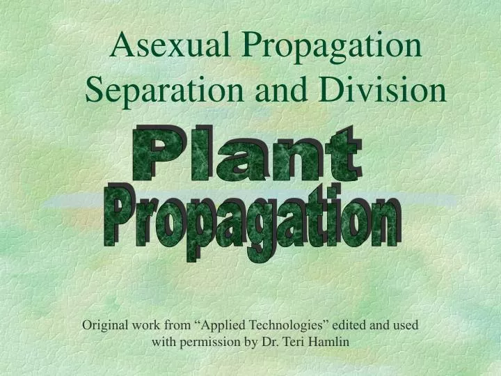 asexual propagation separation and division