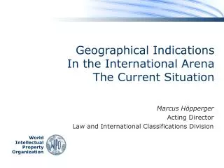 geographical indications in the international arena the current situation