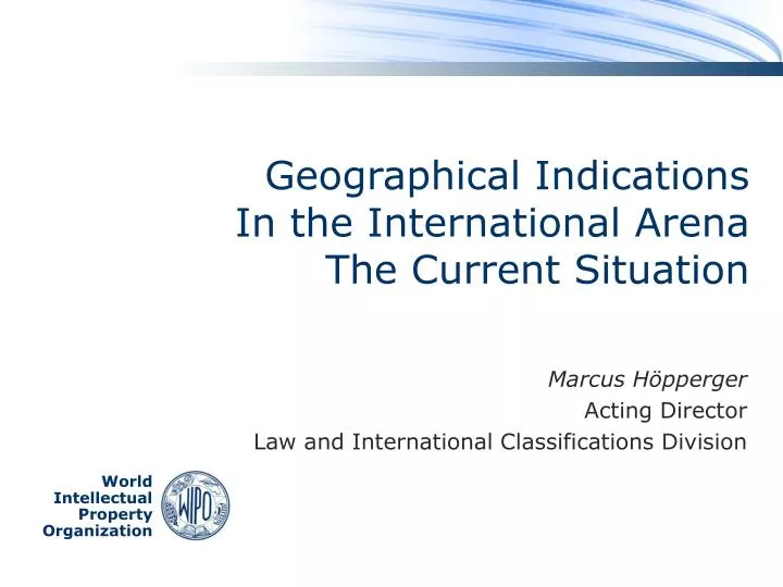geographical indications in the international arena the current situation