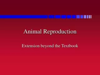 Animal Reproduction