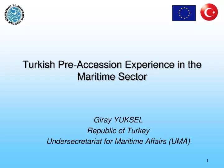 turkish pre accession experience in the maritime sector