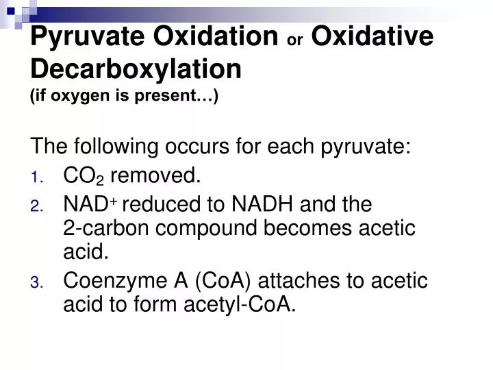 pyruvate oxidation or oxidative decarboxylation if oxygen is present