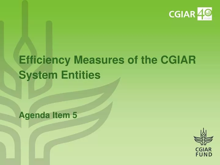 efficiency measures of the cgiar system entities agenda item 5