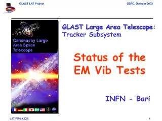 Status of the EM Vib Tests