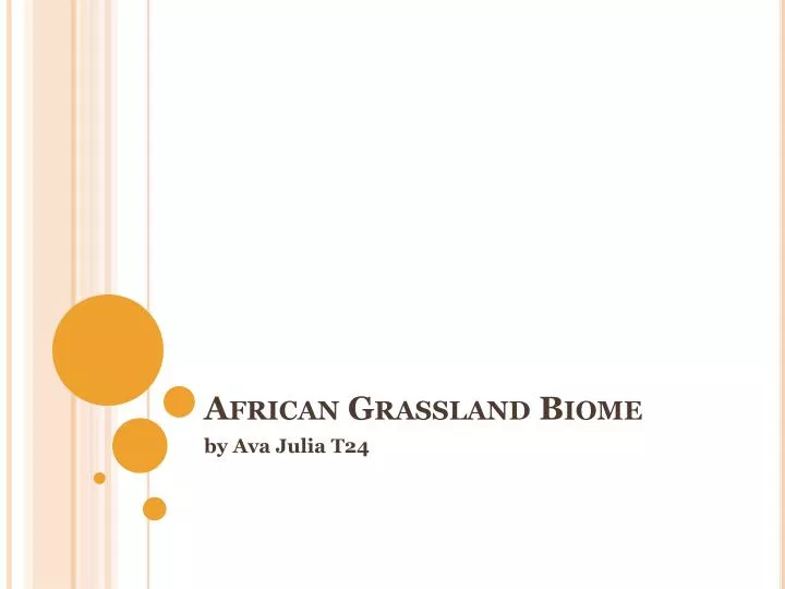 african grassland biome