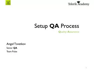 Setup QA Process