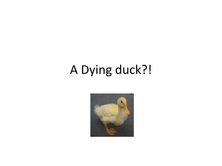 a dying duck