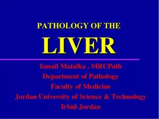 HISTOLOGY OF THE LIVER