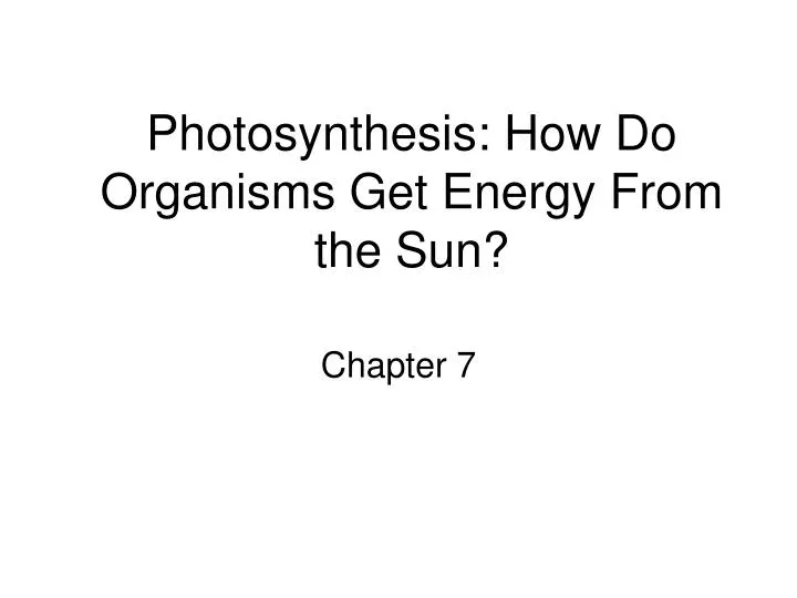 photosynthesis how do organisms get energy from the sun