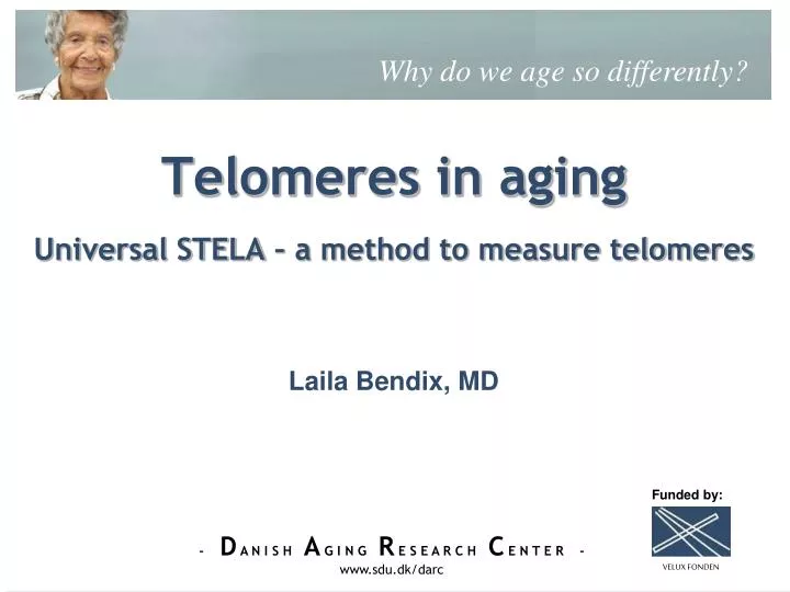 telomeres in aging universal stela a method to measure telomeres