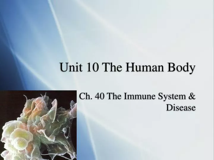unit 10 the human body