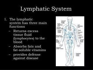 Lymphatic System )