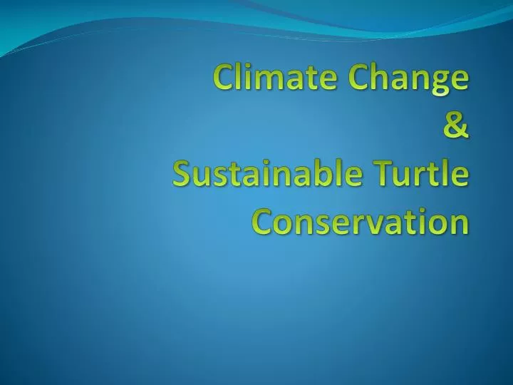 climate change sustainable turtle conservation