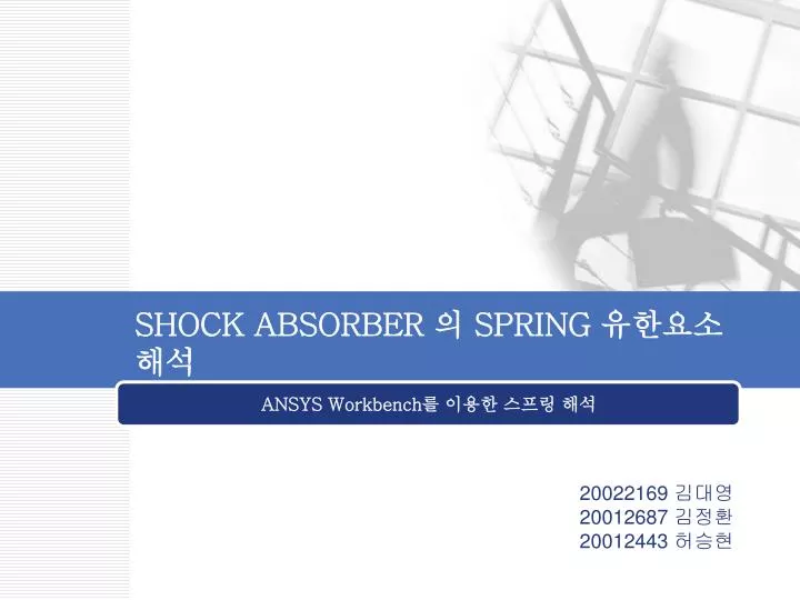 shock absorber spring