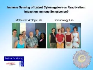 Immune Sensing of Latent Cytomegalovirus Reactivation: Impact on Immune Senescence?
