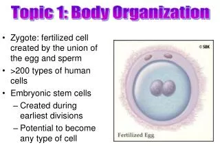 Topic 1: Body Organization
