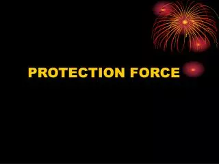 PROTECTION FORCE