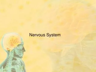 Nervous System