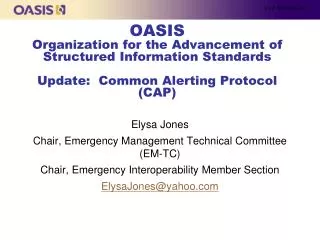 Elysa Jones Chair , Emergency Management Technical Committee (EM-TC)