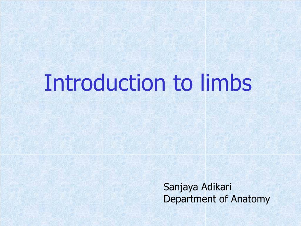 Limbs Reference PPT - Comprehensive Overview of Human Limbs: Anatomy and Function ...