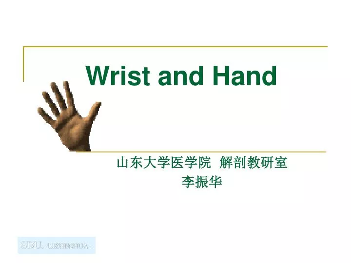 wrist and hand