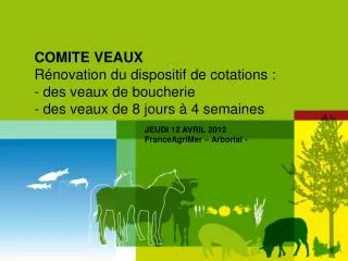 COMITE VEAUX Rénovation du dispositif de cotations : des veaux de boucherie