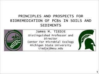 PRINCIPLES AND PROSPECTS FOR BIOREMEDIATION OF PCBs IN SOILS AND SEDIMENTS James M. TIEDJE