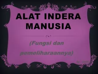 alat indera manusia