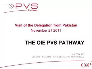 The OIE PVS Pathway N. Leboucq OIE Sub-regional representative in BRussels