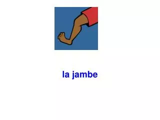 la jambe