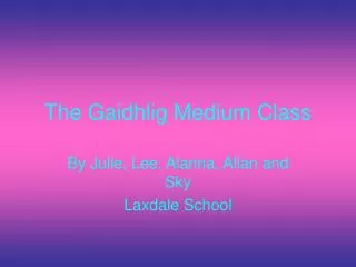 The Gaidhlig Medium Class