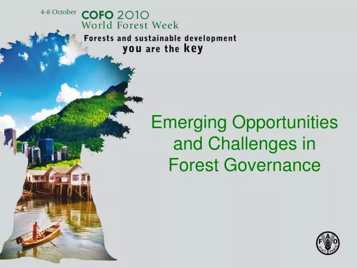 emerging opportunities and challenges in forest governance