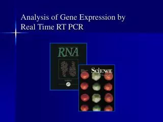 Analysis of Gene Expression by Real Time RT PCR