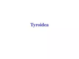 Tyroidea