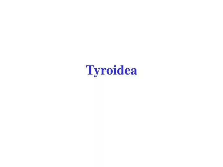 tyroidea