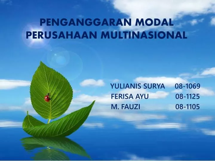 penganggaran modal perusahaan multinasional