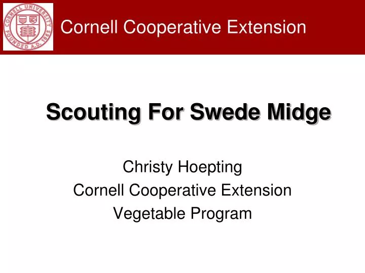 christy hoepting cornell cooperative extension vegetable program