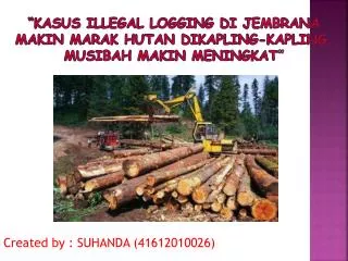 kasus illegal logging di jembrana makin marak hutan dikapling kapling musibah makin meningkat