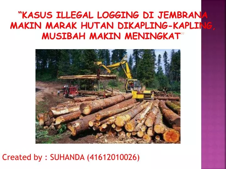 kasus illegal logging di jembrana makin marak hutan dikapling kapling musibah makin meningkat
