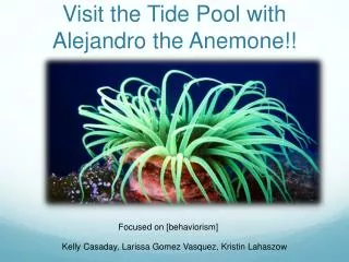 Visit the Tide Pool with Alejandro the Anemone!!