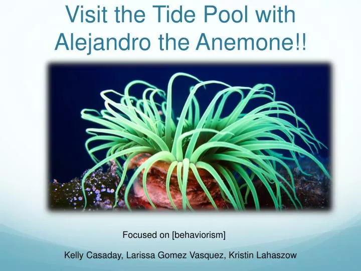 visit the tide pool with alejandro the anemone