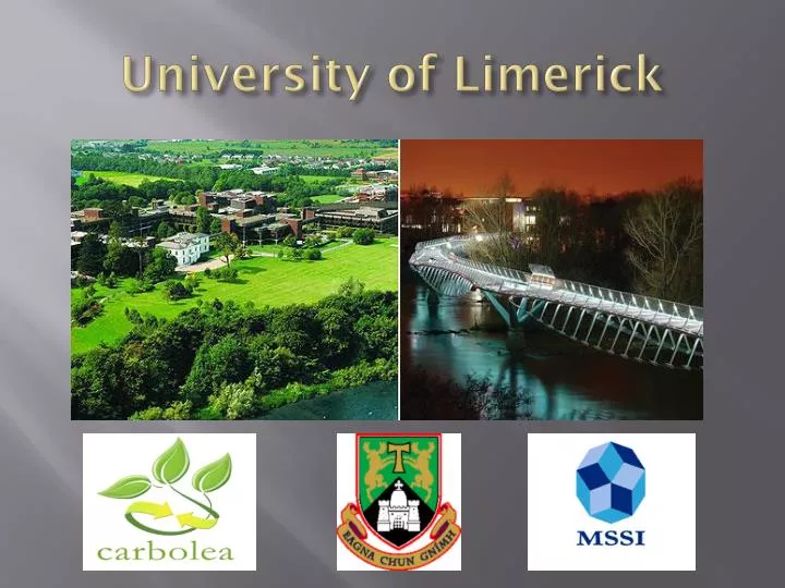 university of limerick